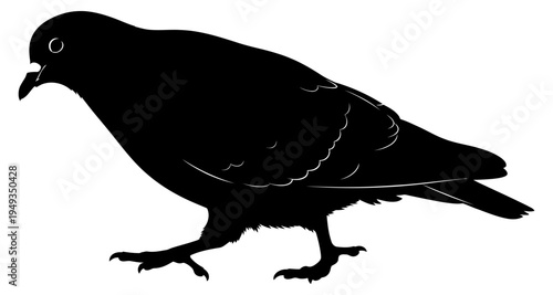 Silhouette of a pigeon standing with its head slightly tilted downward