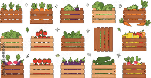 Organic fresh vegetables in wooden crates vector set featuring carrots tomatoes peppers eggplants and broccoli for farmers market grocery and healthy food designs.