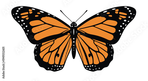 A vibrant monarch butterfly with detailed orange and black wing patterns