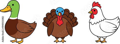 Farm Bird Vector Set Featuring Mallard Duck Turkey and Chicken Hen for Agricultural Branding Poultry Education Thanksgiving Designs and Country Living Illustrations