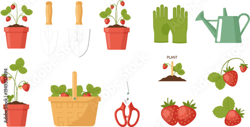 Strawberry Gardening Tools Set with Pots, Pruning Scissors, Watering Can, Trowels, Basket, and Fresh Berries for Harvesting