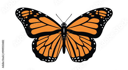 A vibrant monarch butterfly with detailed orange and black wing patterns