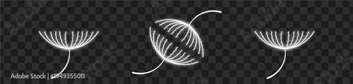 Set of glowing white dandelion seed illustrations on transparent.