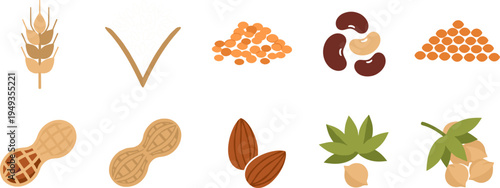 Collection of Seeds and Nuts Including Wheat, Soybean, Almond, Peanut, and Hazelnut Illustrations for Agriculture and Nutrition
