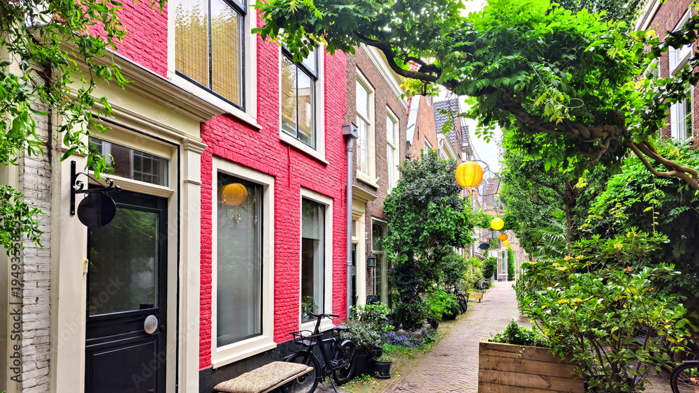 Naklejka premium Colorful leafy Dutch street with in the historic Old Town of Haarlem, Netherlands