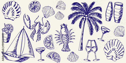 Sketch of tropical beach elements including shells marine life and drinks
