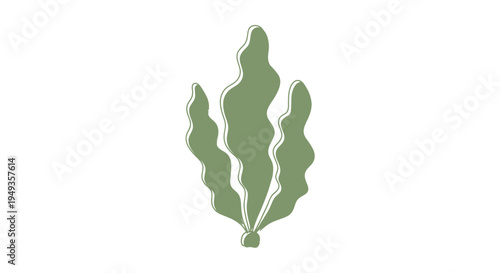 Green seaweed plant aquatic marine.