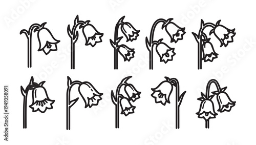Bell Flowers Line Art Icon Set Vector Botanical Illustration Collection
