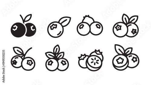 Blueberry Icons with Leaves and Stems Simple Line Art Fruit Illustrations