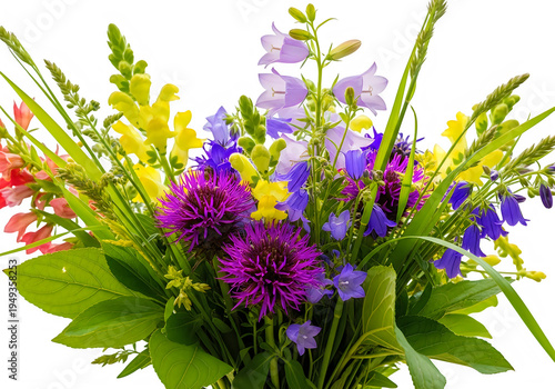A vibrant bouquet of fresh wildflowers featuring purple knapweed and bright yellow snapdragon stems