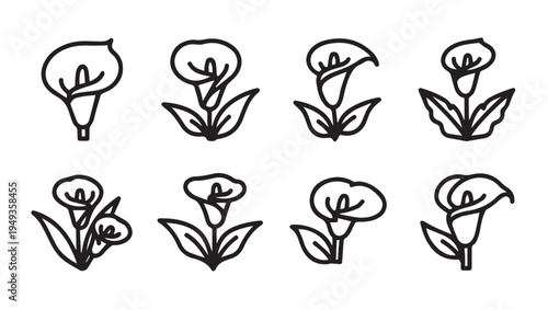 Calla Lily Flower Icons Set Line Art Minimalist Botanical Vector Illustration