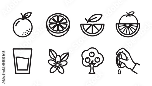 Citrus Fruit Icons: Orange Slices Flower Tree Juice Glass and Squeezing Hand