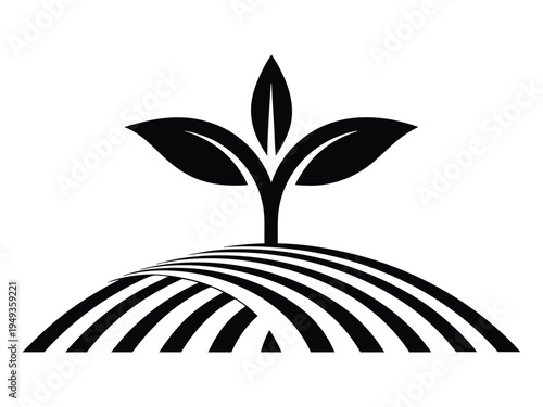 Abstract geometric leaf Black and white minimalist of a seedling emerging from plowed field rows plant