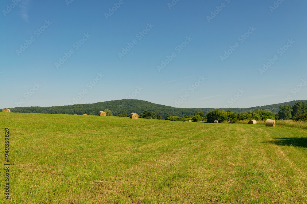 Obraz premium A beautiful landscape featuring hay bales scattered across a lush, green field under a bright blue sky.