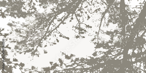 Silhouetted tree branches against a bright overcast sky