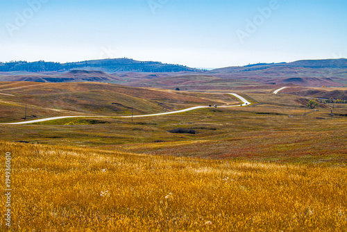 Beautiful prairie landscape at Custer State Park in South Dakota.