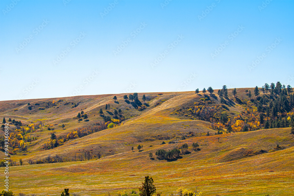Fototapeta premium Beautiful prairie landscape at Custer State Park in South Dakota.