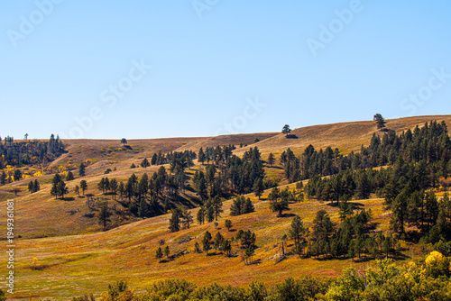 Beautiful prairie landscape at Custer State Park in South Dakota.