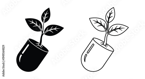 Two potted plants with leafy stems a striking black silhouette
