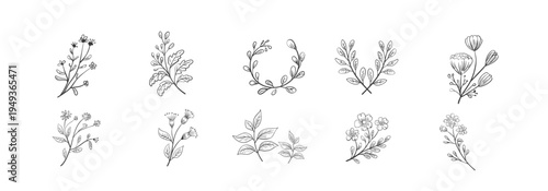 Elegant Hand Drawn Floral Elements Set