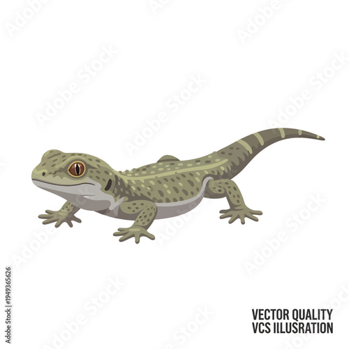 Detailed illustration of a patterned gecko lizard on a white background