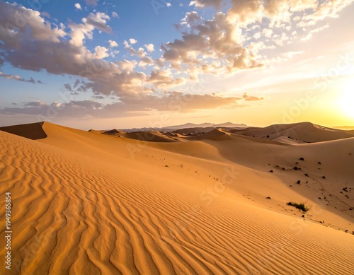 Golden desert sunset landscape