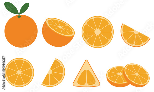Orange Fruit Collection Fresh Citrus Vector Illustration Isolated White Background Juicy Slice Whole Food Healthy Vitamin Tropical Natural Organic Market