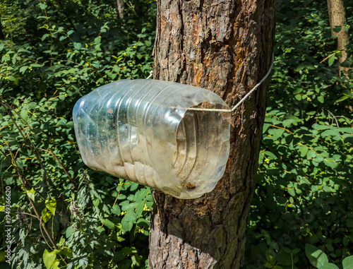 Bird feeder made from a five-liter bottle cut on both sides