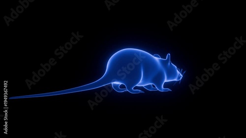 futuristic hologram street rat wireframe rotating in digital space 3D render