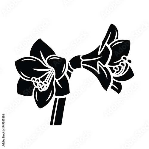 Black and white floral bow design with orchid flowers