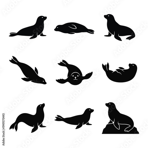 Sea Lion and Seal Silhouette Icon Set - 9 Minimalist Aquatic Mammal Vector Poses