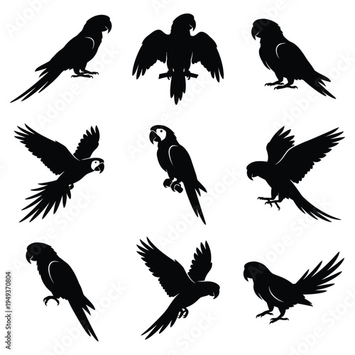Set of Macaw Parrot Silhouettes- Tropical Bird Vector Icons in Various Poses