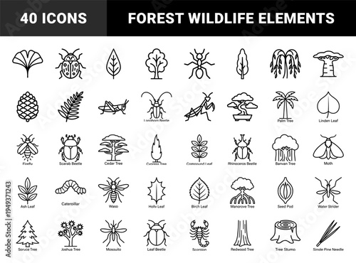 Forest ecology and entomology research elements for educational biology materials. Monolinear black stroke icons of diverse trees, insects, and botanical specimens.