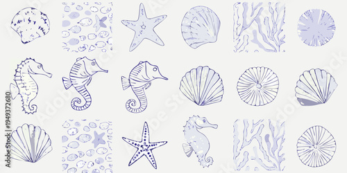Delicate blue line drawings of seashells seahorses and marine life