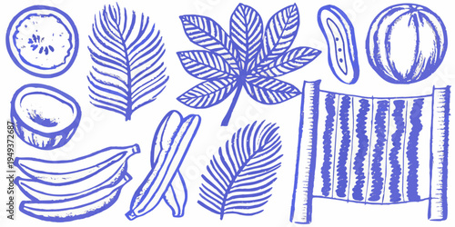 Blue line art illustration of various tropical fruits and plants