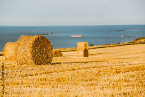 straw bales on a field