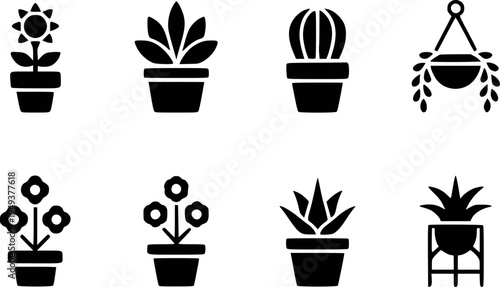 Collection of black potted plant a white background flower cactus