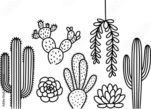 Collection of Hand Drawn Black Outline Cacti and Succulent Plants White Background
