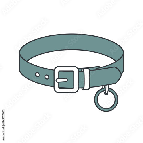 Dog Collar With Metal Buckle.