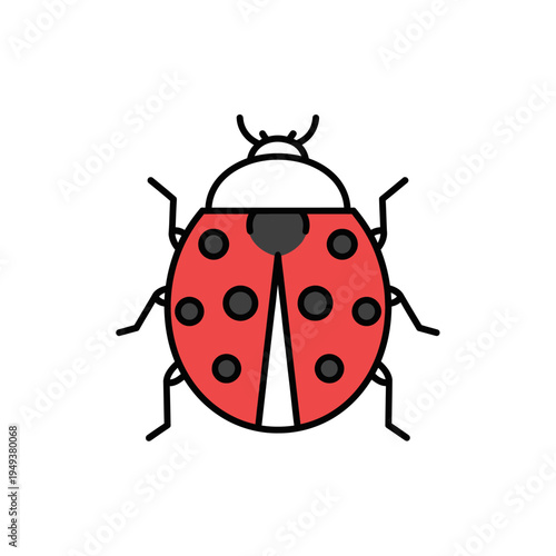 Red ladybug with black spots insect.