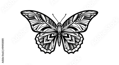 Detailed Butterfly Illustration with Intricate Wing Patterns in Black and White.