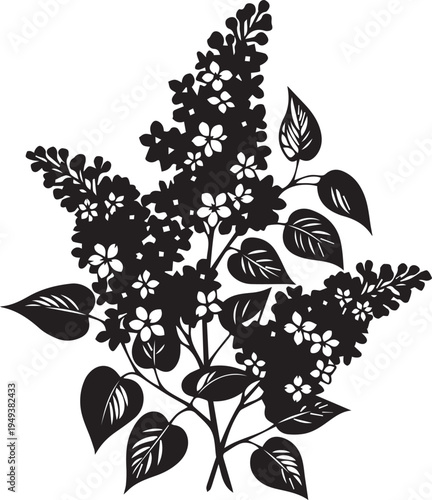 Branch of blooming lilac flowers vector silhouette illustration line art isolated