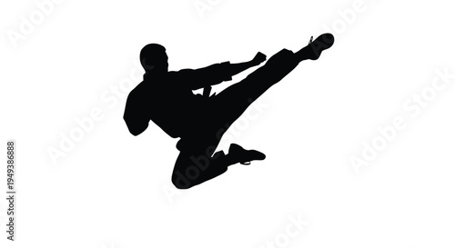 Silhouette vector illustration of a martial arts expert performing a high flying side kick