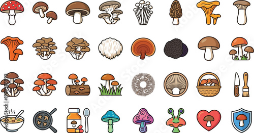 Mushroom vector icon set with edible wild fungi truffle chanterelle shiitake forest mushrooms cooking ingredients and botanical illustration collection