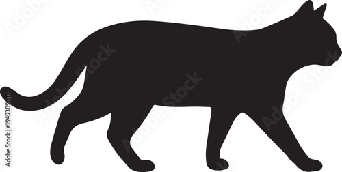 cat walking side view