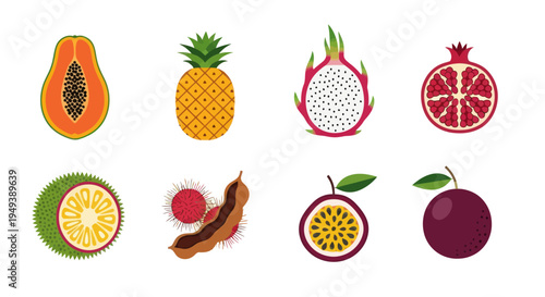 Colorful tropical fruit assortment illustration