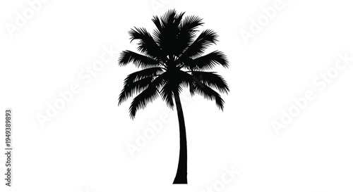 Detailed tropical palm tree silhouette vector graphic illustration representing summer and vacation concepts.