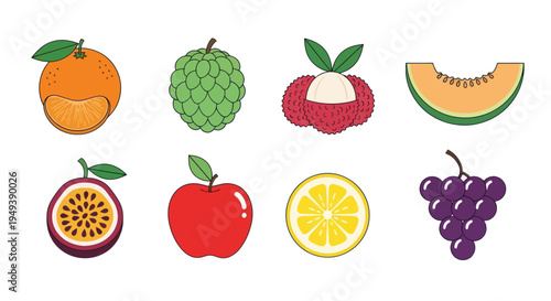 Colorful vector fruits on white background