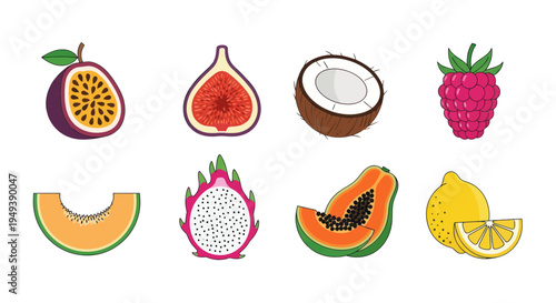 Colorful vector illustration of various fruits
