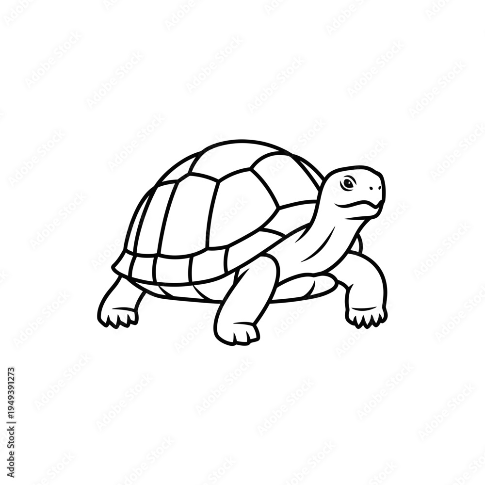 Fototapeta premium Turtle Line Art Vector Graphic vector illustration